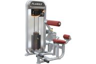 Пресс/разгибание спины Aerofit PL9024