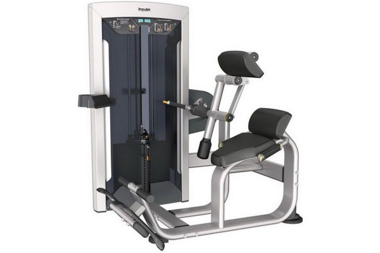 Разгибание спины Aerofit 134 кг FE9732 