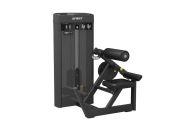 Разгибание спины Spirit Fitness SP-4310