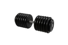 Гантель Профи с вращающающейся ручкой, 66 кг MB Barbell MB-FdbM-B66