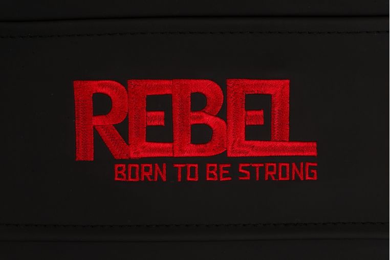Тренажер пресс-турник-брусья REBEL V15 RVKR15 фото 1