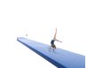 Дорожка акробатическая Moscow 14,4х2 м SPIETH Gymnastics 1790770 фото 9